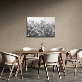 Obraz - Tráva vo vetre (70x50 cm)