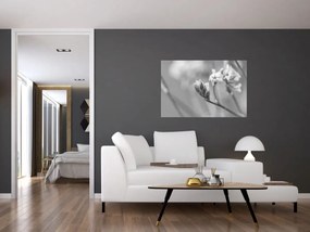 Obraz - Rozkvitnutý kvet (90x60 cm)