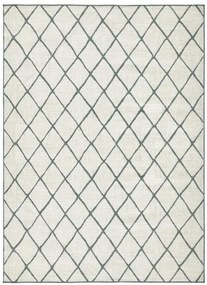 NORTHRUGS - Hanse Home koberce Kusový koberec Twin-Wendeteppiche 103117 grün creme – na von aj na doma - 200x290 cm