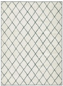 NORTHRUGS - Hanse Home koberce Kusový koberec Twin-Wendeteppiche 103117 grün creme – na von aj na doma - 80x150 cm