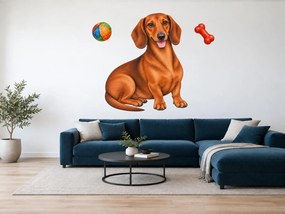 Jazvečík s loptičkou a kosťou realistické textilné nálepky na stenu pre milovníkov jazvečíkov arch 37 x 46 cm