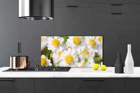 Sklenený obklad Do kuchyne Kvety sedmokráska príroda 100x50 cm