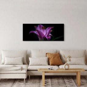 Obraz ľalia (120x50 cm)