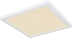 Globo 12380-24W - LED Stropné svietidlo LASSE LED/24W/230V 3000/4000/6500K biela