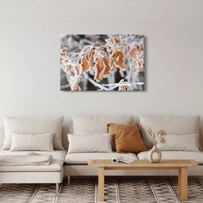 Obraz - Zamrznuté listy (90x60 cm)