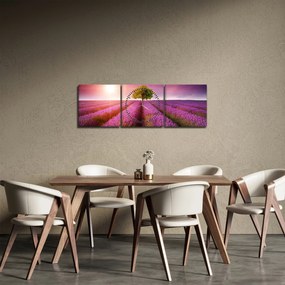 Obraz poľa s levanduľami (s hodinami) (90x30 cm)
