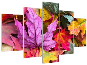 Obraz - jesenné listy (150x105 cm)
