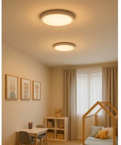 LED stropné svietidlo LED/24W/230V 3000/4000/6500K pr. 30 cm biela