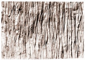 Tutumi Tutumi, plyšový koberec Nature 4D vzor: béžová skala 160x230 cm, SHG-09001