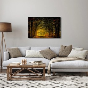 Obraz lesu (90x60 cm)