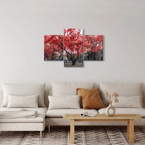 Obraz - Červené stromy, Central Park, New York (90x60 cm)