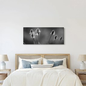 Obraz - Béžová soft grass N⁰2 (120x50 cm)