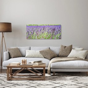 Obraz poľa s levanduľou (120x50 cm)