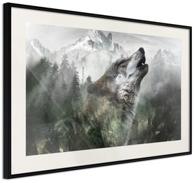 Artgeist Plagát - Howling Wolf [Poster] Veľkosť: 60x40, Verzia: Čierny rám s passe-partout