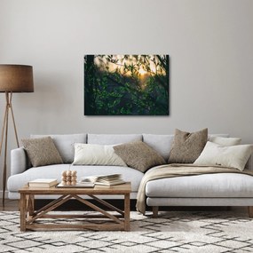 Obraz presvitajúceho slnka cez vetvičky stromov (70x50 cm)