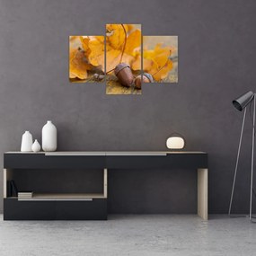 Obraz - Jesenné žalude (90x60 cm)