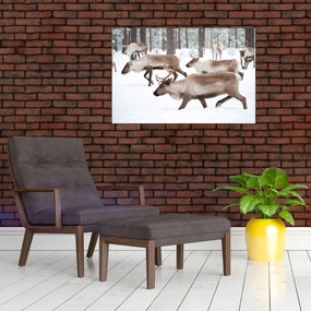Obraz - Soby (90x60 cm)