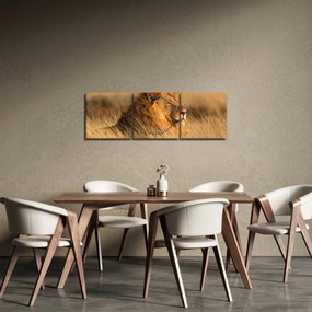 Obraz - Národný park Etosha (s hodinami) (90x30 cm)
