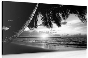 Obraz východ slnka na karibskej pláži v čiernobielom prevedení - 90x60
