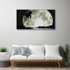 Obraz na plátne Noc mesiac palma krajina 140x70 cm