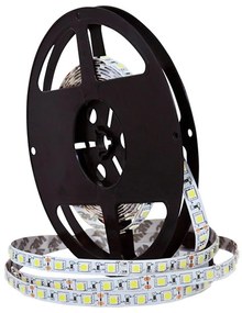 LED Pásik 5m 28W/12V IP20 6500K