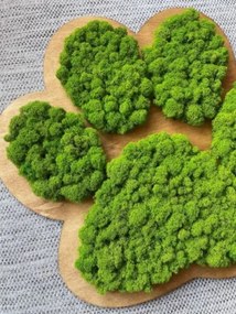 Machový obraz Labka 50x43 cm