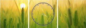 Obraz - Pole s obilím (s hodinami) (90x30 cm)