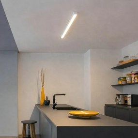 Brilagi - LED prisadené stropné svietidlo FULLDAY LED/10/15/20W/230V 2700/4000/6000K biele