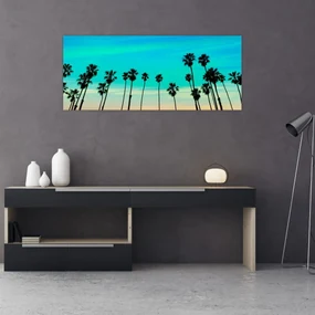 Obraz - Kalifornia (120x50 cm)