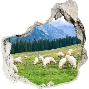 Fototapeta diera na stenu 3D Ovce v tatrách nd-p-121151461