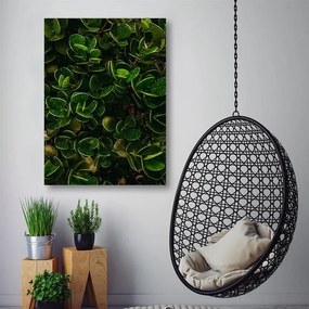 Gario Obraz na plátne Zelené listy exotických rastlín Rozmery: 40 x 60 cm