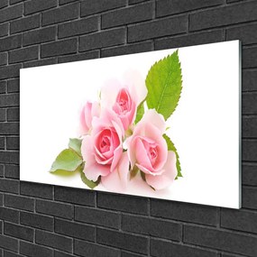 Skleneny obraz Ruže kvety príroda 120x60 cm