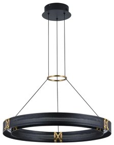 LED Luster na lanku LED/33W/230V 3000K 62x120 cm