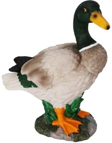Záhradná dekorácia Káčer, 21 x 11,5 x 26,5 cm, polyresin