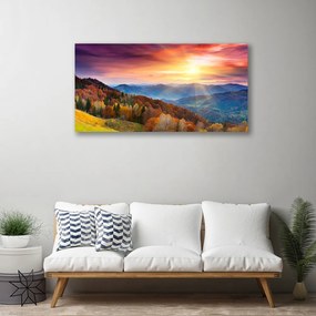 Obraz Canvas Hora les slnko krajina 120x60 cm