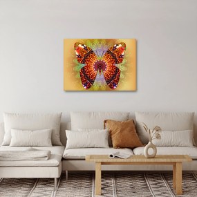 Obraz - Etno motýľ (70x50 cm)