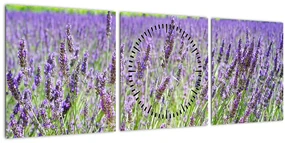 Obraz poľa s levanduľou (s hodinami) (90x30 cm)