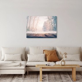 Obraz - Výhľad do lesa (70x50 cm)