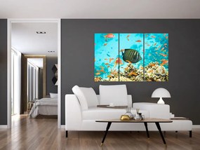 Obraz rýb v akváriami