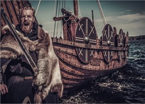 Obraz - Viking (70x50 cm)