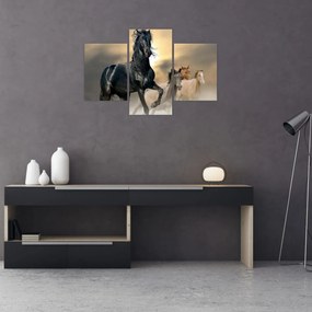 Obraz - Kone (90x60 cm)
