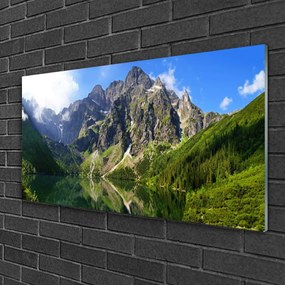 Skleneny obraz Tatry hory morské oko les 120x60 cm