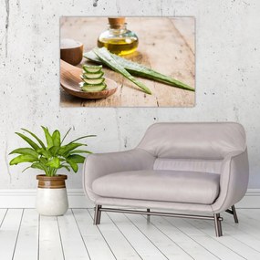 Obraz - Aloe vera (90x60 cm)