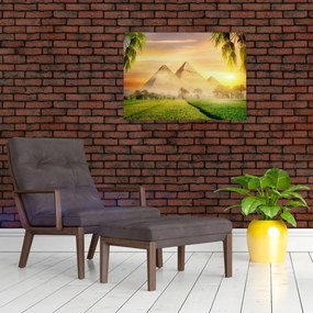 Obraz - Pyramídy (70x50 cm)