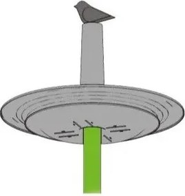 Plastia Napájadlo pre vtáky Finch, olivová