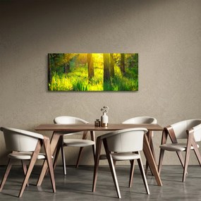 Obraz - Jarné prebúdzanie lesa (120x50 cm)