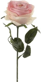 Rose Simone Pink (Ruza ruzova) 45 cm