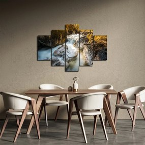Obraz - Lesný potok (150x105 cm)