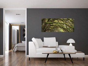 Obraz - Oaks Avenue, Charleston, Južná Karolína, USA (120x50 cm)