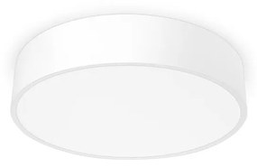 Palnas 61000732 - LED Stropné svietidlo RENY 400 LED/30W/230V